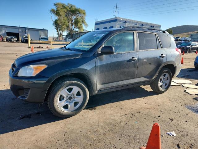 TOYOTA RAV4 2012 with VIN 2T3BF4DV7CW202581 - Photo from auction