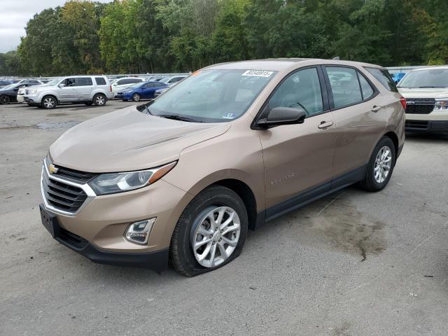 CHEVROLET EQUINOX LS 2019 with VIN 2GNAXHEV7K6275031 - Photo from auction
