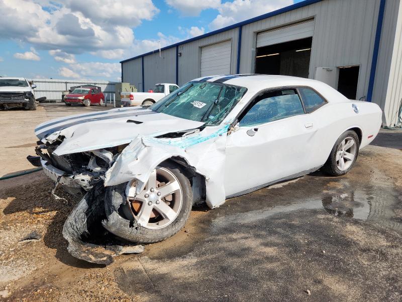 DODGE CHALLENGER 2014 with VIN 2C3CDYAG1EH250852 - Photo from auction