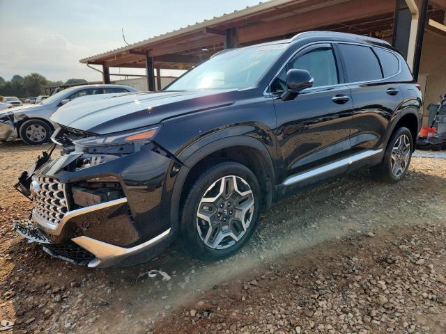 HYUNDAI SANTA FE L 2023 with VIN 5NMS5DA13PH002392 - Photo from auction