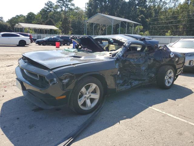 DODGE CHALLENGER 2013 with VIN 2C3CDYAG2DH675110 - Photo from auction