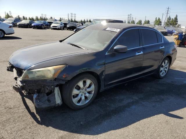 HONDA ACCORD EXL 2010 with VIN 5KBCP3F84AB012406 - Photo from auction