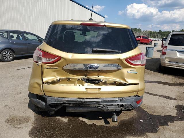 Photo 6 from auction – 2014 FORD ESCAPE SE with VIN 1FMCU0GX6EUD81286