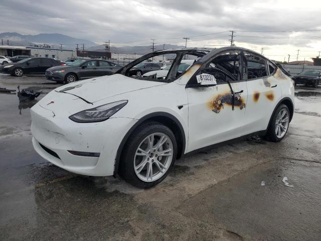 TESLA MODEL Y 2023 with VIN 7SAYGDEE5PF609061 - Photo from auction