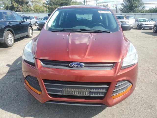 Photo 5 from auction – 2014 FORD ESCAPE S with VIN 1FMCU0F78EUD30373