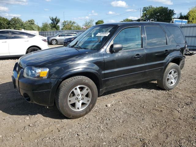FORD ESCAPE LIM 2005 with VIN 1FMYU04135KB19260 - Photo from auction