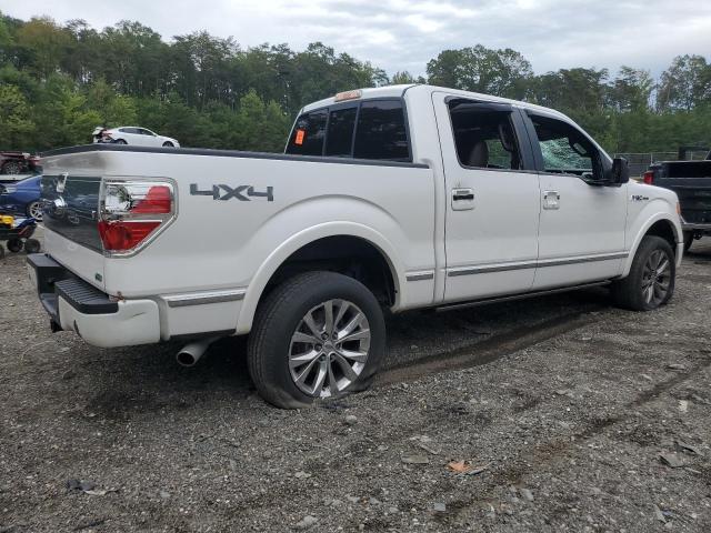 Photo 3 from auction – 2010 FORD F150 SUPER with VIN 1FTFW1EV1AFB60843