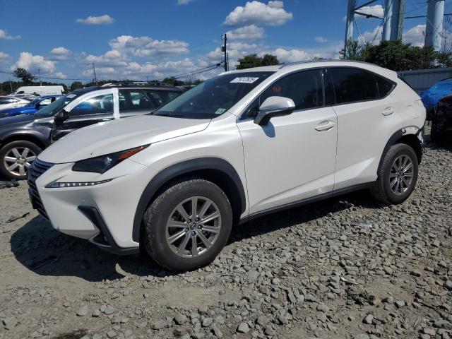 LEXUS NX 300 BAS 2021 with VIN JTJDARDZ7M5025334 - Photo from auction