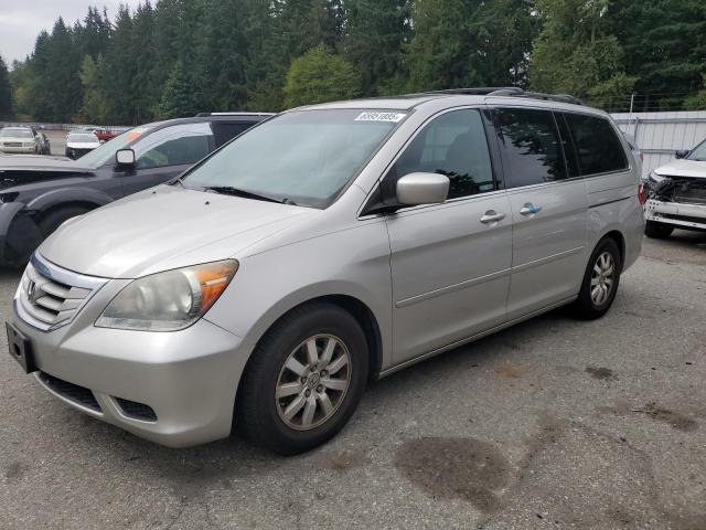 HONDA ODYSSEY EX 2008 with VIN 5FNRL387X8B110679 - Photo from auction