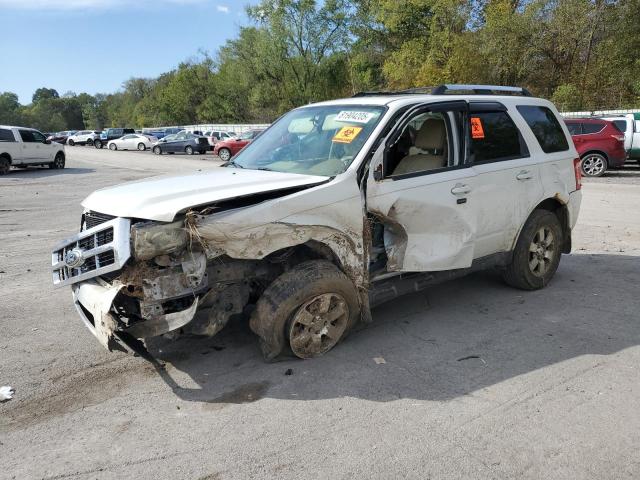FORD ESCAPE LIM 2012 with VIN 1FMCU0EG4CKB40192 - Photo from auction