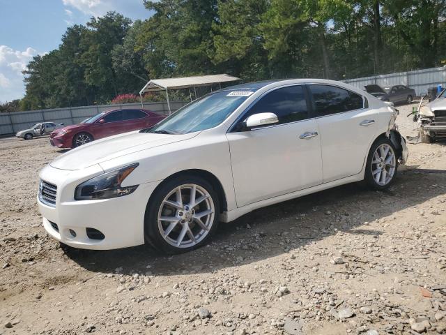 NISSAN MAXIMA S 2009 مع رقم تعريف المركبة 1N4AA51E69C849396 - صورة من المزاد