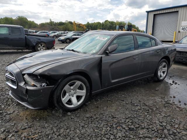 DODGE CHARGER PO 2013 with VIN 2C3CDXAT6DH694931 - Photo from auction