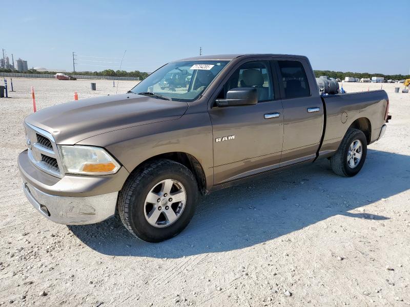 DODGE RAM 1500 2010 with VIN 1D7RB1GP5AS213192 - Photo from auction