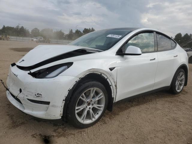 TESLA MODEL Y 2023 with VIN 7SAYGDEE5PF790775 - Photo from auction
