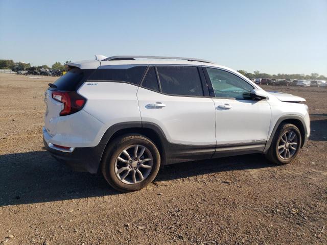 Photo 3 from auction – 2024 GMC TERRAIN SL with VIN 3GKALVEG3RL265546