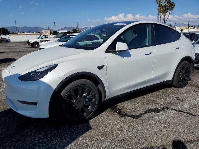TESLA MODEL Y 2024 with VIN 7SAYGDEE1RF064317 - Photo from auction
