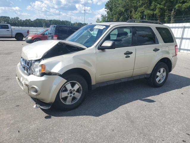 FORD ESCAPE XLT 2011 with VIN 1FMCU0DGXBKA71797 - Photo from auction