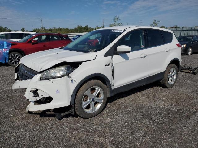 FORD ESCAPE SE 2016 with VIN 1FMCU0GX1GUA33088 - Photo from auction