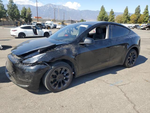 TESLA MODEL Y 2023 with VIN 7SAYGDEE4PF907889 - Photo from auction