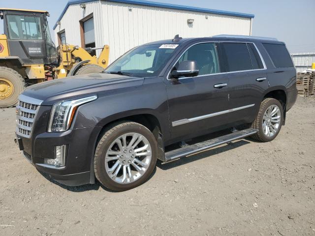 CADILLAC ESCALADE P 2018 with VIN 1GYS4CKJ6JR217984 - Photo from auction
