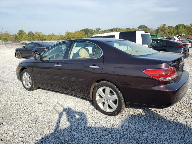 Photo 2 from auction – 2006 LEXUS ES 330 with VIN JTHBA30G665148734