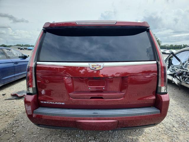 Photo 6 from auction – 2019 CADILLAC ESCALADE P with VIN 1GYS3CKJ9KR276337