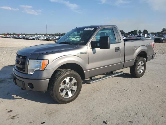 FORD F150 2013 with VIN 1FTMF1EF0DFD03494 - Photo from auction