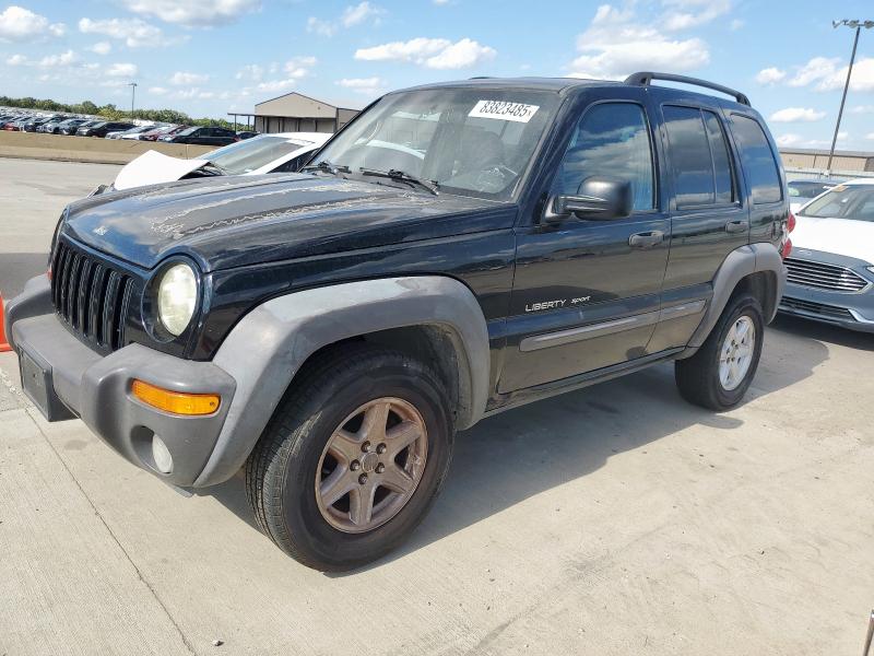 JEEP LIBERTY SP 2002 with VIN 1J4GK48K12W170481 - Photo from auction
