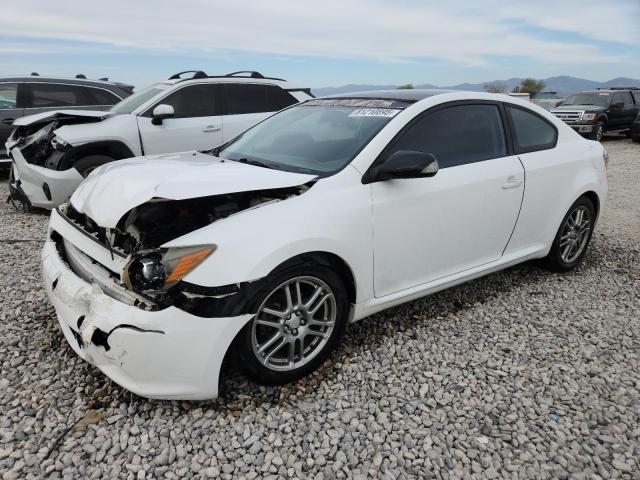 TOYOTA SCION TC 2008 with VIN JTKDE167180245892 - Photo from auction
