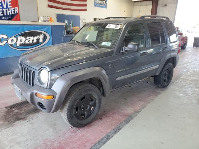 Photo 1 from auction – 2002 JEEP LIBERTY SP with VIN 1J4GL48K52W279944