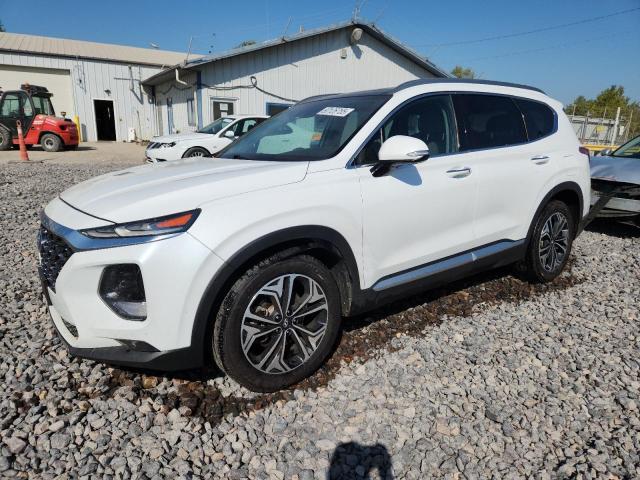 HYUNDAI SANTA FE L 2019 with VIN 5NMS53AA2KH084022 - Photo from auction