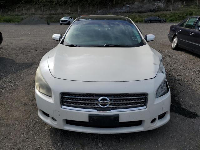 Photo 5 from auction – 2009 NISSAN MAXIMA S with VIN 1N4AA51E29C845703