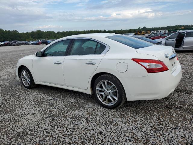 Photo 2 from auction – 2010 NISSAN MAXIMA S with VIN 1N4AA5AP4AC819397