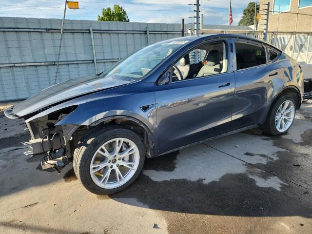 TESLA MODEL Y 2023 with VIN 7SAYGDEE2PA199591 - Photo from auction
