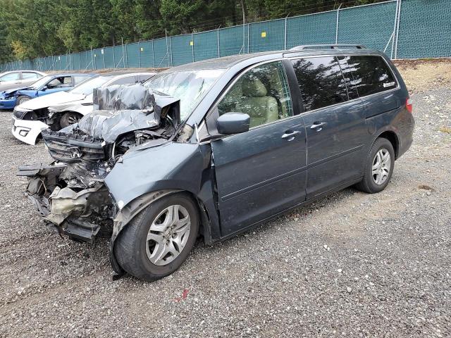 HONDA ODYSSEY EX 2006 with VIN 5FNRL38686B415697 - Photo from auction