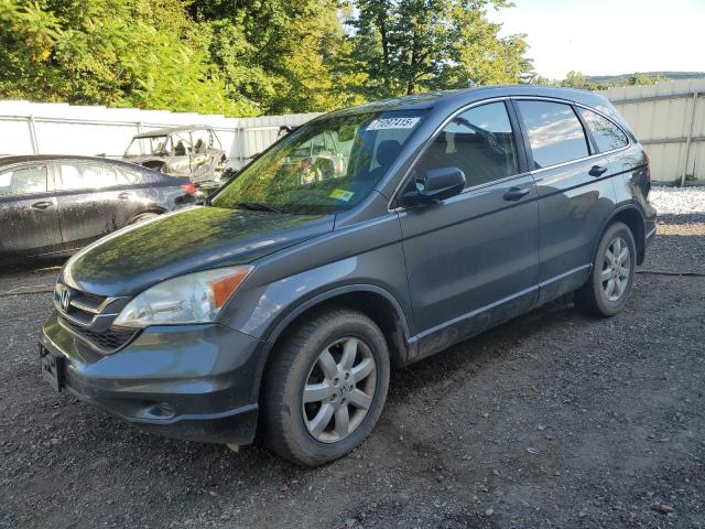 Photo 1 from auction – 2011 HONDA CR-V SE with VIN 5J6RE4H47BL066466