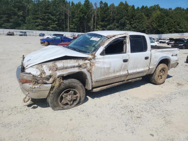 DODGE DAKOTA QUA 2003 with VIN 1D7HG48N53S369358 - Photo from auction