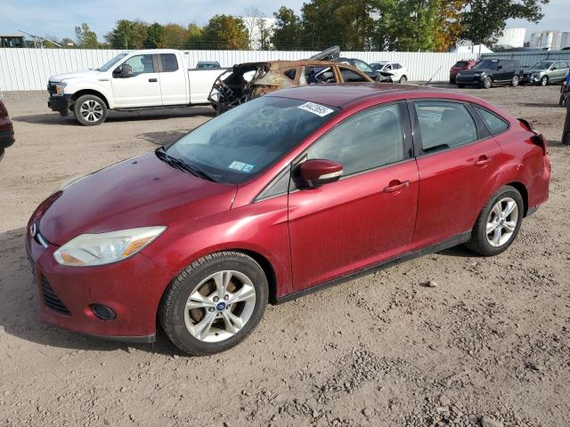 FORD FOCUS SE 2014 with VIN 1FADP3F29EL201883 - Photo from auction