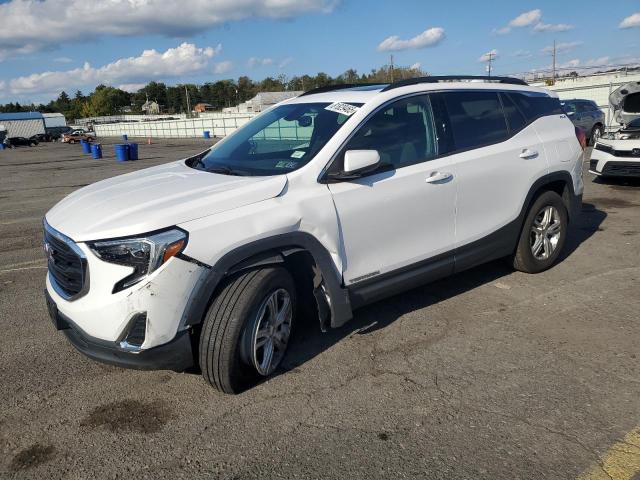 GMC TERRAIN SL 2019 with VIN 3GKALTEV3KL393861 - Photo from auction