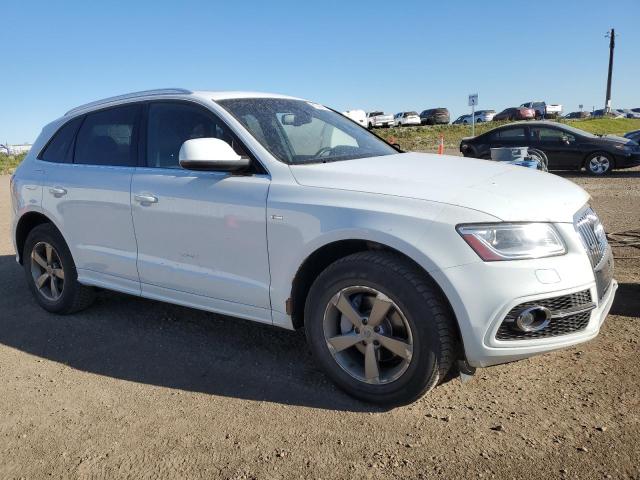 Photo 4 from auction – 2013 AUDI Q5 PREMIUM with VIN WA1MFCFP9DA005259