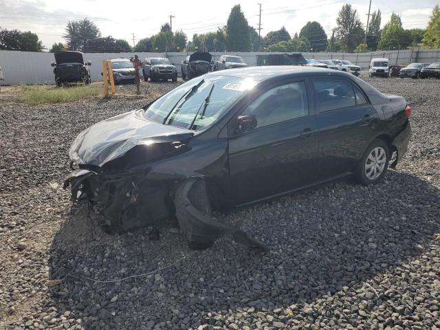 TOYOTA COROLLA BASE 2009 with VIN JTDBL40E49J037935 - Photo from auction