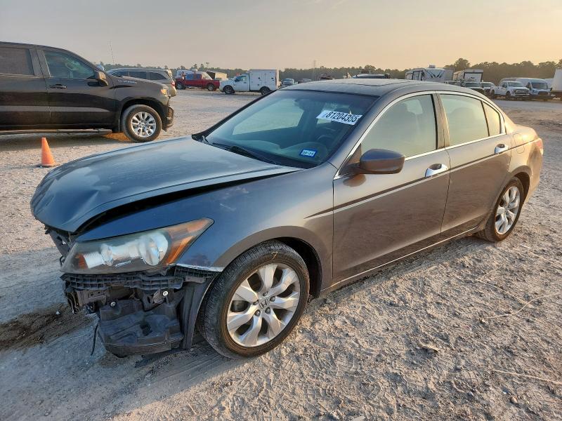 HONDA ACCORD EXL 2010 with VIN 1HGCP3F86AA028356 - Photo from auction