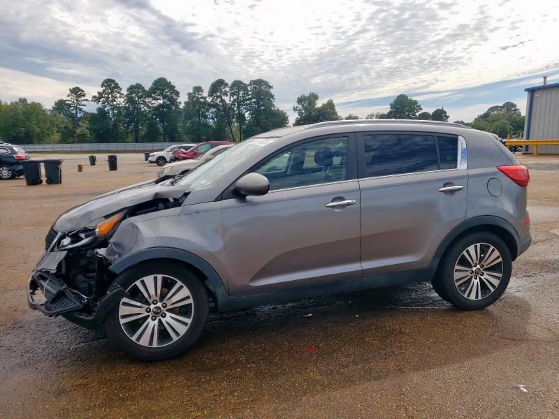 KIA SPORTAGE EX 2016 with VIN KNDPC3ACXG7847528 - Photo from auction