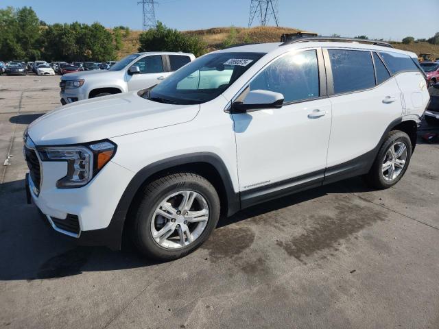 GMC TERRAIN SL 2023 with VIN 3GKALTEG8PL190134 - Photo from auction