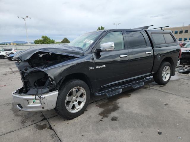 DODGE RAM 1500 2009 with VIN 1D3HV13T59S723593 - Photo from auction