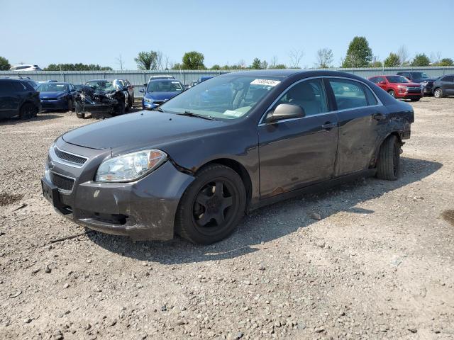 CHEVROLET MALIBU LS 2012 with VIN 1G1ZB5E07CF305836 - Photo from auction