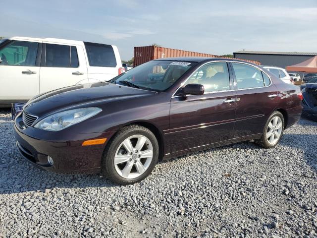 LEXUS ES 330 2006 with VIN JTHBA30G665148734 - Photo from auction
