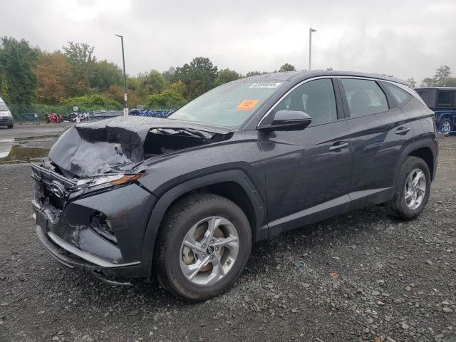 HYUNDAI TUCSON SE 2022 with VIN 5NMJACAE2NH087033 - Photo from auction