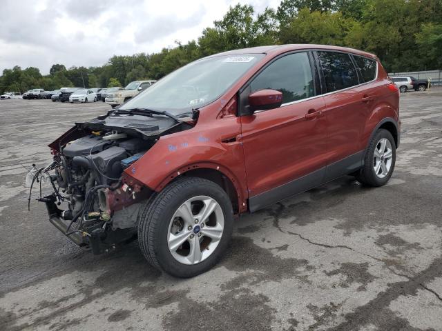 FORD ESCAPE SE 2014 with VIN 1FMCU9G94EUE49199 - Photo from auction