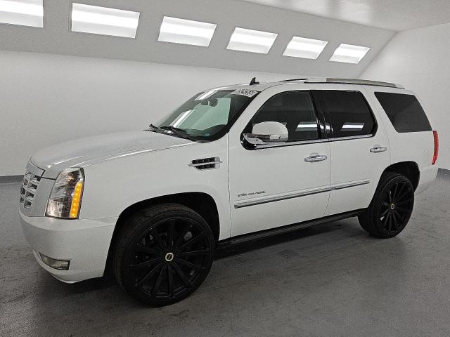 CADILLAC ESCALADE L 2014 with VIN 1GYS3BEF6ER223374 - Photo from auction
